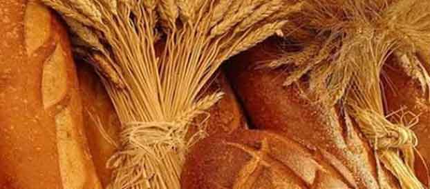 Handing out the bread of life