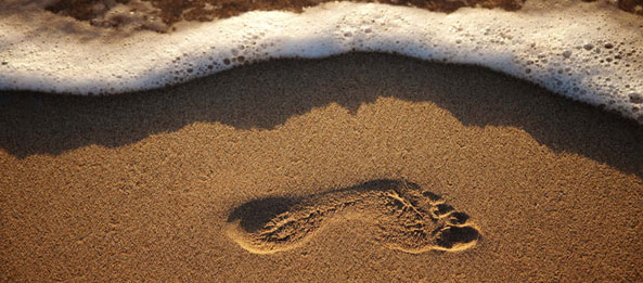 John’s Nativity – The Word became Flesh